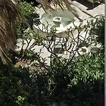 Hotel Doma 4*
