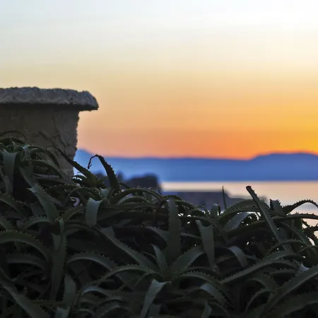 Hotel Doma 4*